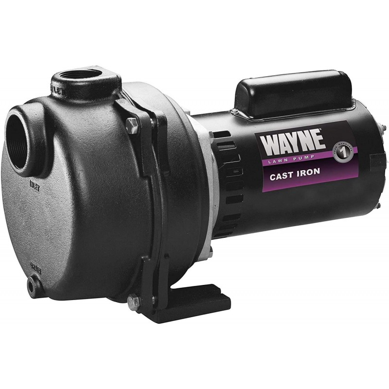 Wayne WLS200 2 HP Cast Iron High Volume Lawn Sprinkling Pump, 2-Horsepower