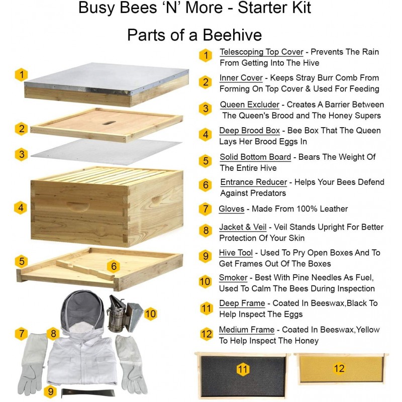 Amish Made in USA Complete Langstroth Beehive - The Starter Kit (Full Hive with 1 Deep & Accessories)