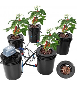 Bavnnro DWC Hydroponic Bucket System, Recirculating Top Feed Drip Hydroponics Growing System 5 Gallon Deep Water Culture Bucket System Kit for Herbs/Vegetables/Fruits(4 Bucket + Reservoir + Drip Kit) Bavnnro DWC Hydroponic Bucket System, Recirculating Top Feed Drip Hydroponics Growing System 5 Gallon Deep Water Culture Bucket System Kit for Herbs/Vegetables/Fruits(4 Bucket + Reservoir + Drip Kit)