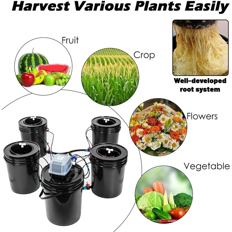 Bavnnro DWC Hydroponic Bucket System, Recirculating Top Feed Drip Hydroponics Growing System 5 Gallon Deep Water Culture Bucket System Kit for Herbs/Vegetables/Fruits(4 Bucket + Reservoir + Drip Kit)