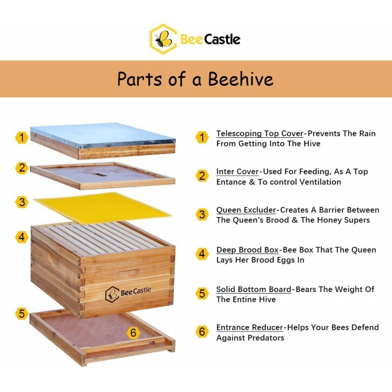 10-Frame Bee Hives and Supplies Starter Kit,Beehive Kit Dipped in 100% Beeswax,Bee Keeping Supplies-All Beginners Kit Includes Beekeeping Supplies Tool Set and Bee Suit.
