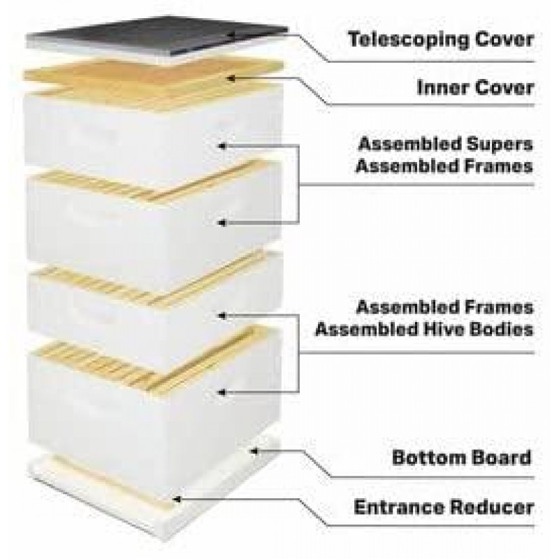 Mann Lake Beehive kit, Completely Assembled Kit, Painted, with Frames and Foundation, Ready to Use,10 Frame Kit, 2 Deep Bee Boxes, 2 Medium Supers, Made in The USA