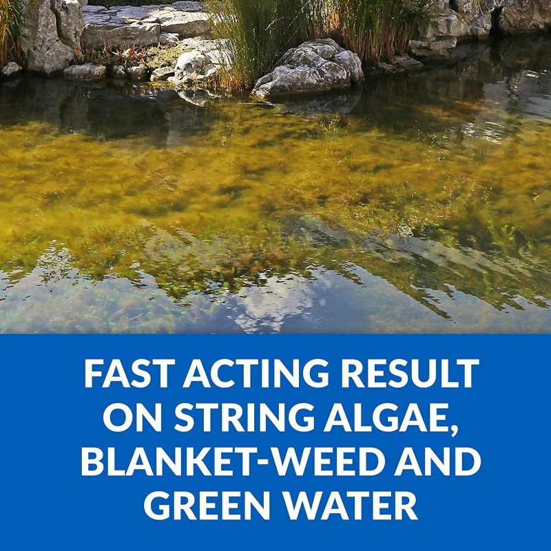 CrystalClear Algae D-Solv - EPA Registered Algaecide - Safe for Fish and Plants: 2.5 Gallons Treats 115,200 Gallons