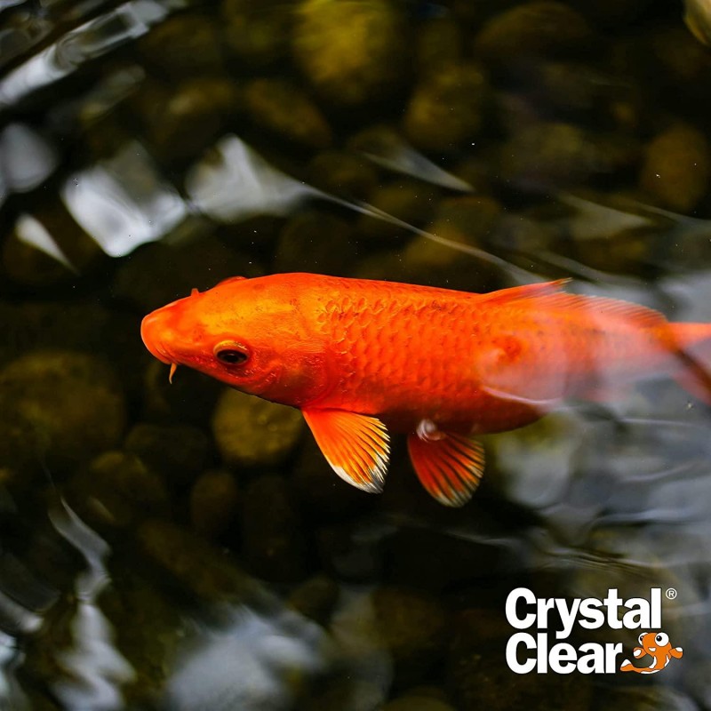 CrystalClear Algae D-Solv - EPA Registered Algaecide - Safe for Fish and Plants: 2.5 Gallons Treats 115,200 Gallons