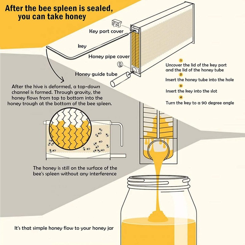 Adasea Flow Hive, Auto Flow Beehive, Beekeeping Wooden House with 7 PCS Auto Honey Beehive Frame, Food Grade BPA Free (Beehive Frame+Wooden Box)