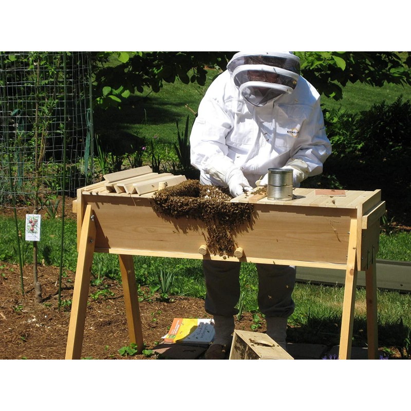 Gold Star Honeybees Top Bar Hive Beekeeping kit