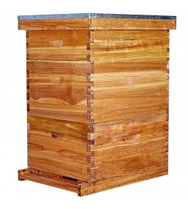 Bee Hive 10 Frame Bee Hives and Supplies Starter Kit, Bee Hive for Beginner, Honey Bee Hives Includes 2 Deep Bee Boxes, 1 Bee Hive Super with Beehive Frames and Foundation