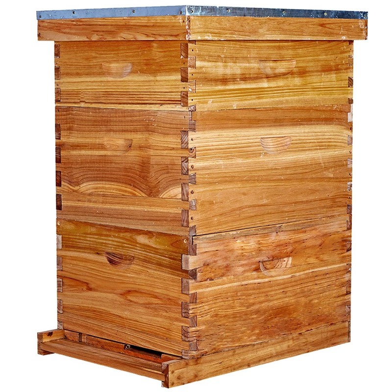 Bee Hive 10 Frame Bee Hives and Supplies Starter Kit, Bee Hive for Beginner, Honey Bee Hives Includes 2 Deep Bee Boxes, 1 Bee Hive Super with Beehive Frames and Foundation