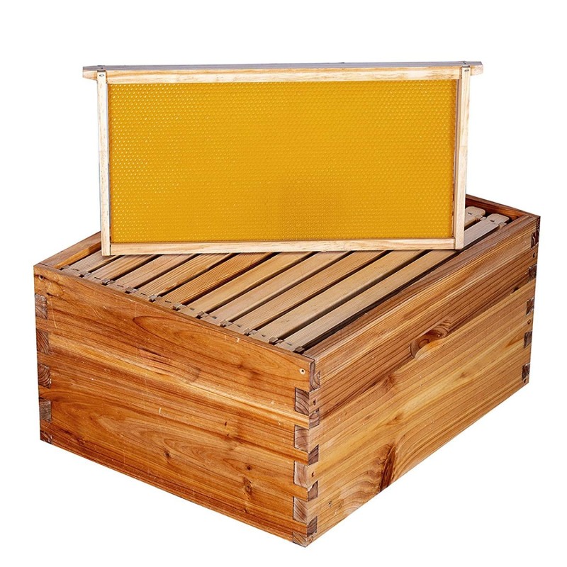 Bee Hive 10 Frame Bee Hives and Supplies Starter Kit, Bee Hive for Beginner, Honey Bee Hives Includes 2 Deep Bee Boxes, 1 Bee Hive Super with Beehive Frames and Foundation