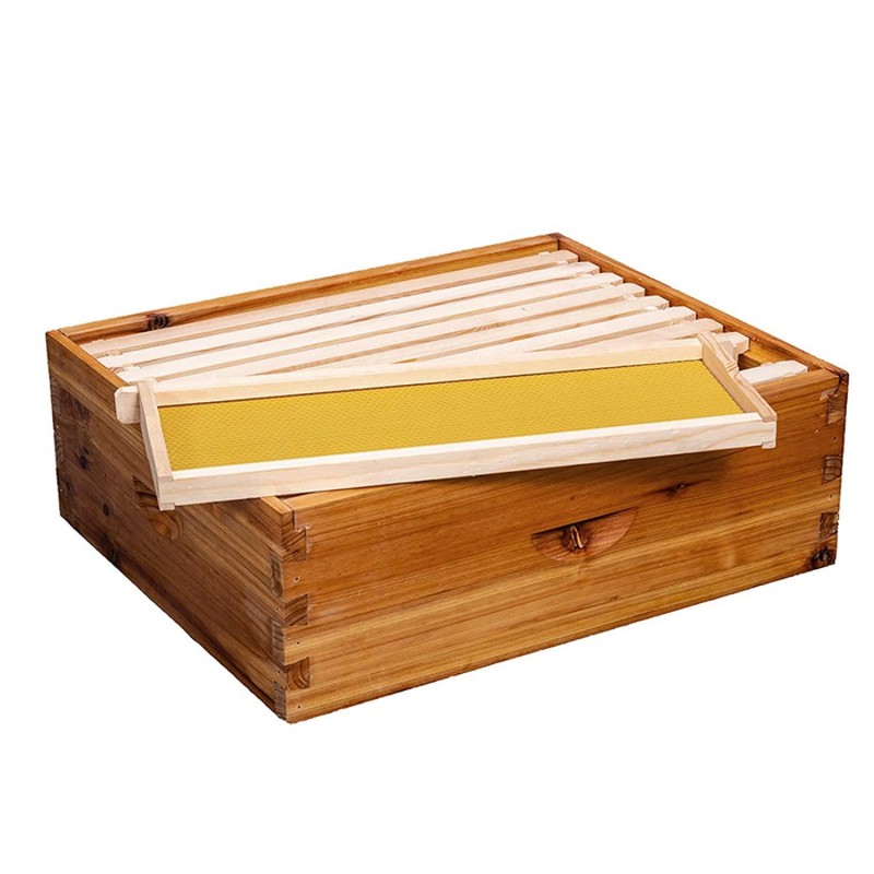 Bee Hive 10 Frame Bee Hives and Supplies Starter Kit, Bee Hive for Beginner, Honey Bee Hives Includes 2 Deep Bee Boxes, 1 Bee Hive Super with Beehive Frames and Foundation