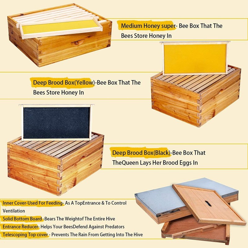 Bee Hive 10 Frame Bee Hives and Supplies Starter Kit, Bee Hive for Beginner, Honey Bee Hives Includes 2 Deep Bee Boxes, 1 Bee Hive Super with Beehive Frames and Foundation