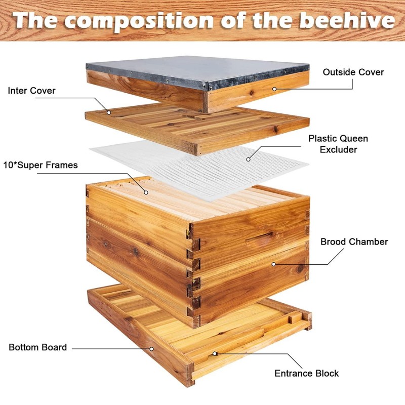 Beehive Starter Kit, 10-Frame Bee Hives & 24Pcs Beekeeping Supplies Tools Kit, Wax Coated and Painted Honey Bee Box and Professional Beekeeping Starter Tools