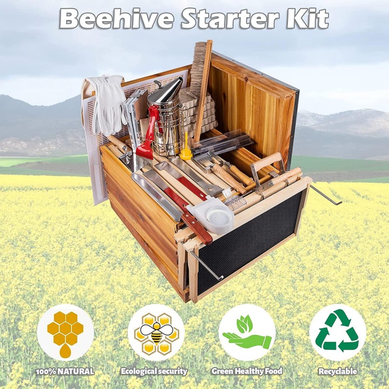 Beehive Starter Kit, 10-Frame Bee Hives & 24Pcs Beekeeping Supplies Tools Kit, Wax Coated and Painted Honey Bee Box and Professional Beekeeping Starter Tools