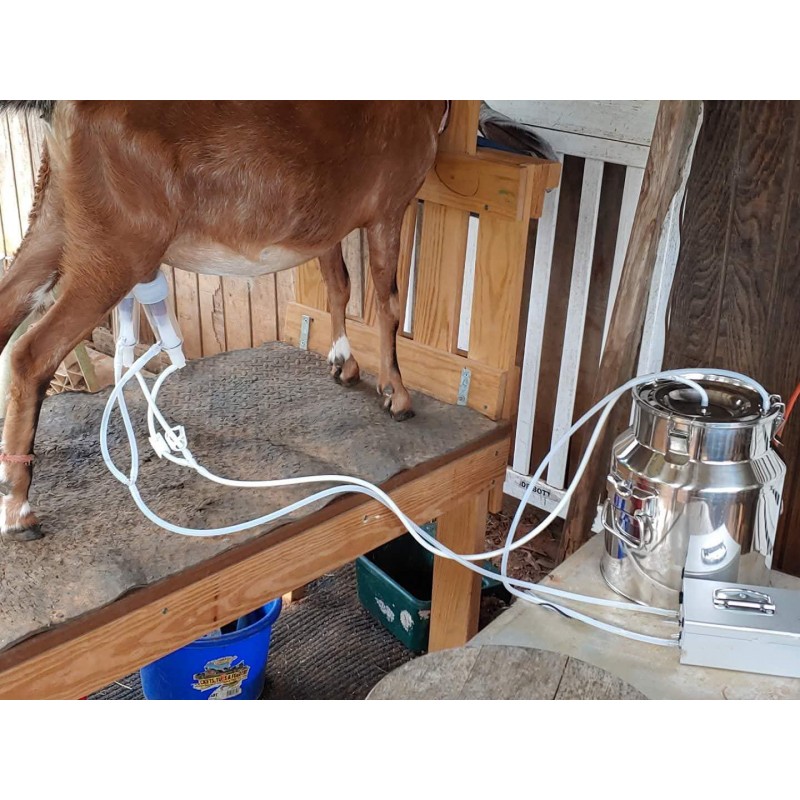 Hantop Pulsating Vacuum Pump Compatible with Hantop Milking Machine (Battery Pump (Adjustable))