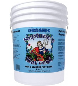 Neptune's Harvest Fish & Seaweed Fertilizer 2-3-1, 5 Gallon Pail Neptune's Harvest Fish & Seaweed Fertilizer 2-3-1, 5 Gallon Pail