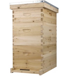 Bee Hive Complete with Frames & Wax Coated Foundations (NU8-2D1M)