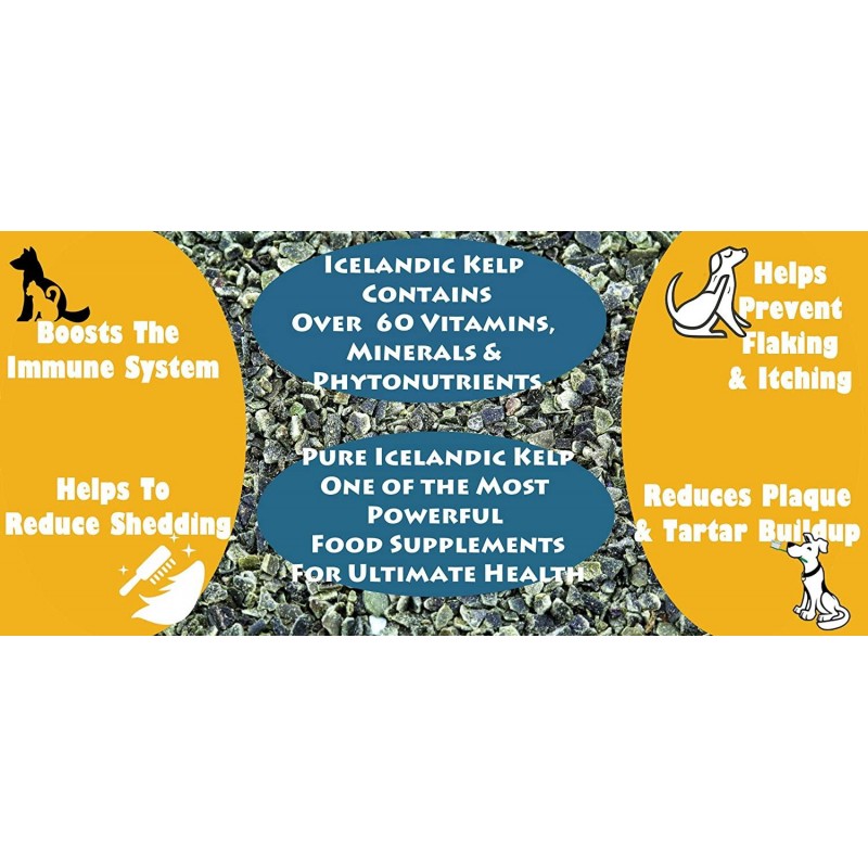 Thorvin Organic Icelandic Kelp Meal - Loaded With Nutrients That Support Your Livestock Or Pet & A Natural Seaweed Fertilizer For Plants, 50lbs.