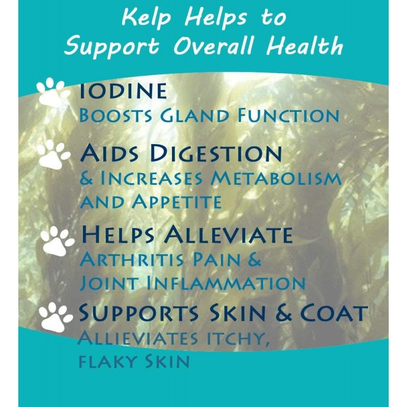 Thorvin Organic Icelandic Kelp Meal - Loaded With Nutrients That Support Your Livestock Or Pet & A Natural Seaweed Fertilizer For Plants, 50lbs.