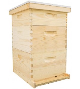 10 Frame Hive Kit Includes Wooden Frames & Waxed Rite-Cell Foundation (2 Deep Boxes, 1 Medium Box)
