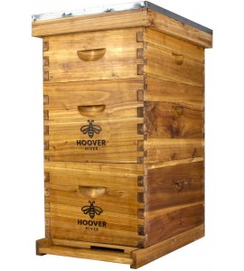 Hoover Hives 8 Frame Beehive Kit - Dipped in 100% Beeswax Includes Wooden Frames & Waxed Foundations (2 Deep Boxes, 1 Medium Box)