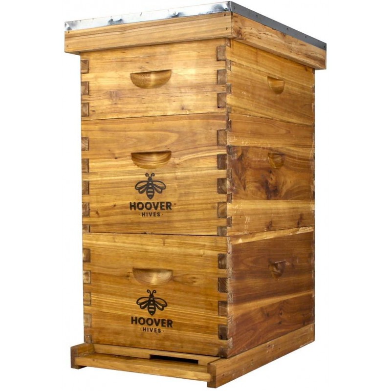Hoover Hives 8 Frame Beehive Kit - Dipped in 100% Beeswax Includes Wooden Frames & Waxed Foundations (2 Deep Boxes, 1 Medium Box)