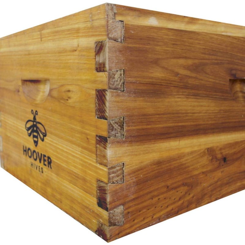 Hoover Hives 8 Frame Beehive Kit - Dipped in 100% Beeswax Includes Wooden Frames & Waxed Foundations (2 Deep Boxes, 1 Medium Box)