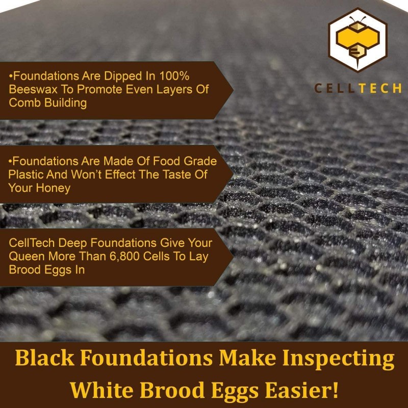 Hoover Hives 8 Frame Beehive Kit - Dipped in 100% Beeswax Includes Wooden Frames & Waxed Foundations (2 Deep Boxes, 1 Medium Box)