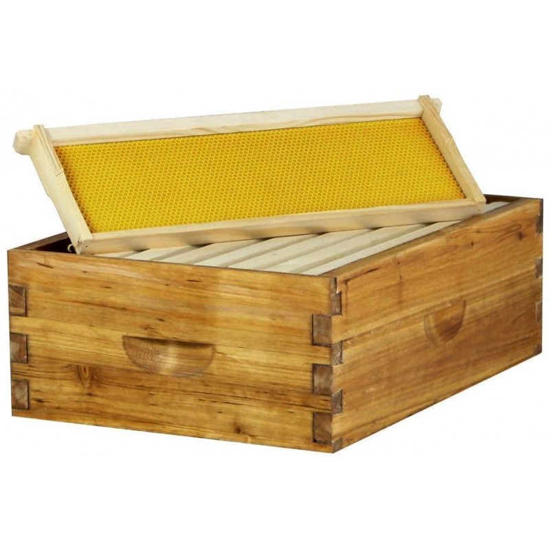 Hoover Hives 8 Frame Beehive Kit - Dipped in 100% Beeswax Includes Wooden Frames & Waxed Foundations (2 Deep Boxes, 1 Medium Box)