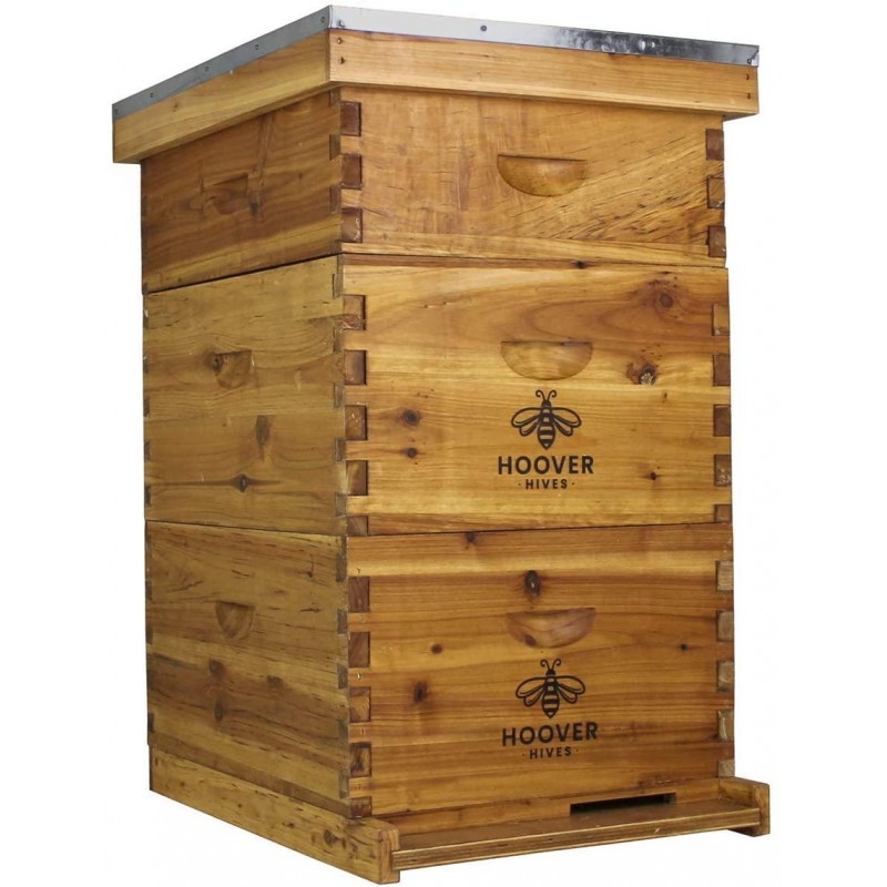 Hoover Hives 10 Frame Langstroth Beehive Dipped in 100% Beeswax Includes Wooden Frames & Waxed Foundations (2 Deep Boxes, 1 Medium Box)(Fully Assembled)