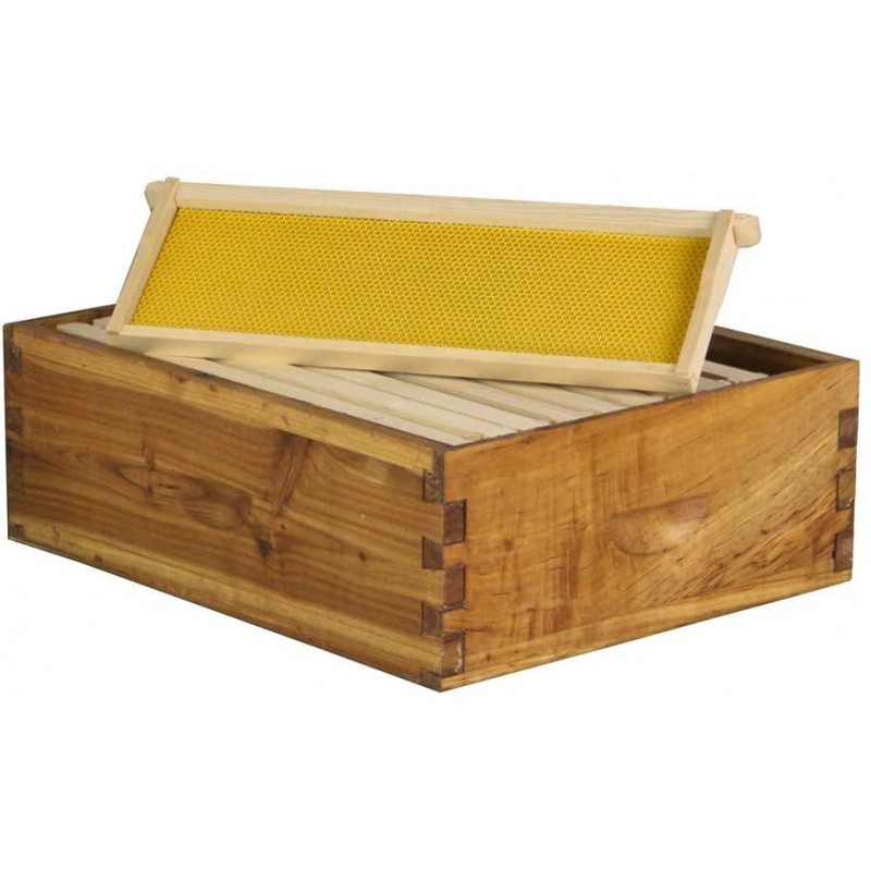 Hoover Hives 10 Frame Langstroth Beehive Dipped in 100% Beeswax Includes Wooden Frames & Waxed Foundations (2 Deep Boxes, 1 Medium Box)