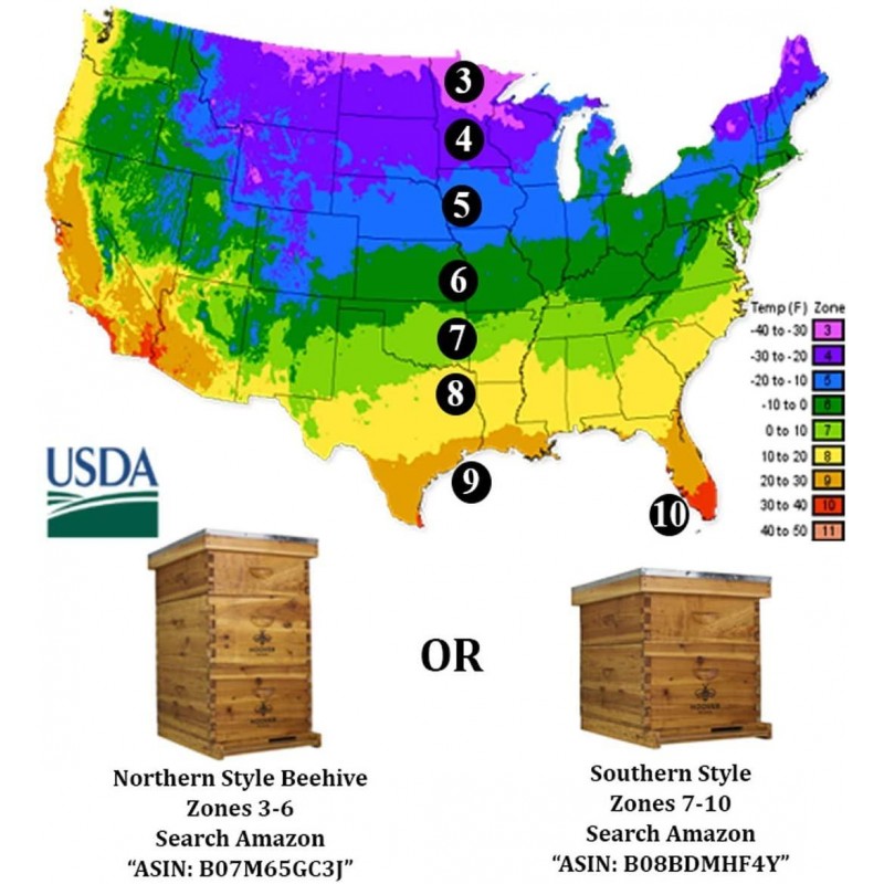 Hoover Hives 10 Frame Langstroth Beehive Dipped in 100% Beeswax Includes Wooden Frames & Waxed Foundations (2 Deep Boxes, 1 Medium Box)