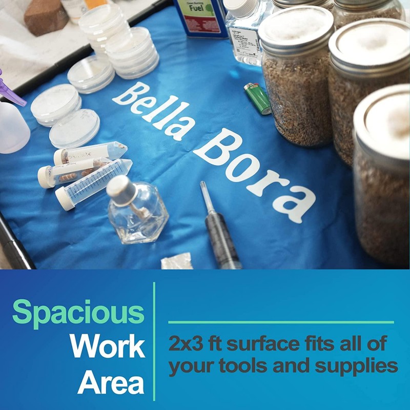 Still Air Box Mycology 359 qt Volume – Alternative to Laminar Flow Hood, Fume Hood, Glove Box | A Necessary Companion to Your Mushroom Grow Kit Mushroom Growing Kit by Bella Bora