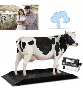 Prime 5000lb Livestock / Animal / Cattle Alleyway Scale with Auto Recording Software