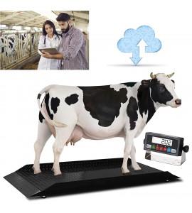 Prime 5000lb Livestock / Animal / Cattle Alleyway Scale with Auto Recording Software Prime 5000lb Livestock / Animal / Cattle Alleyway Scale with Auto Recording Software