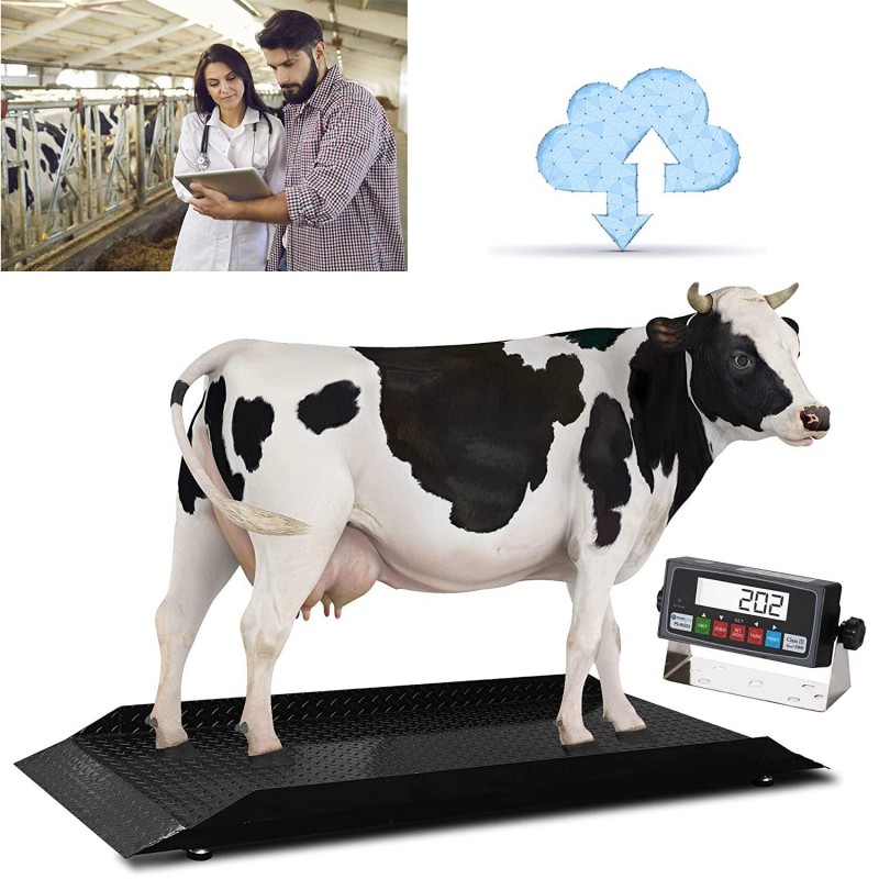 Prime 5000lb Livestock / Animal / Cattle Alleyway Scale with Auto Recording Software