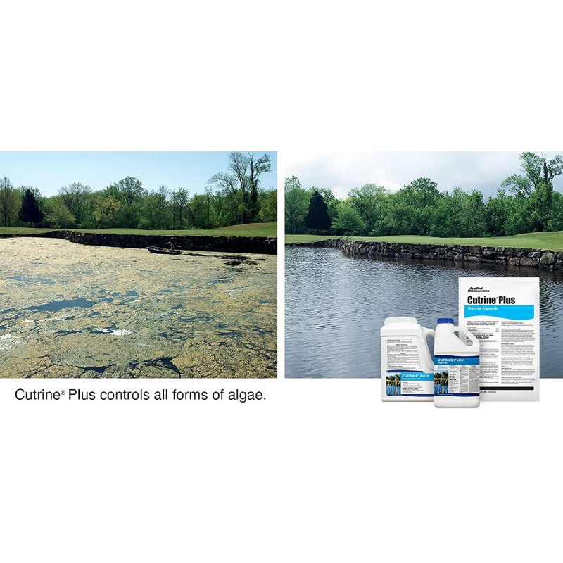 Cutrine Plus Granulated Algaecide, 30 lbs